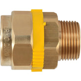 PLT GAS THREADED SLEEVE PAKTERMO DN25-4/4"M / P26F104